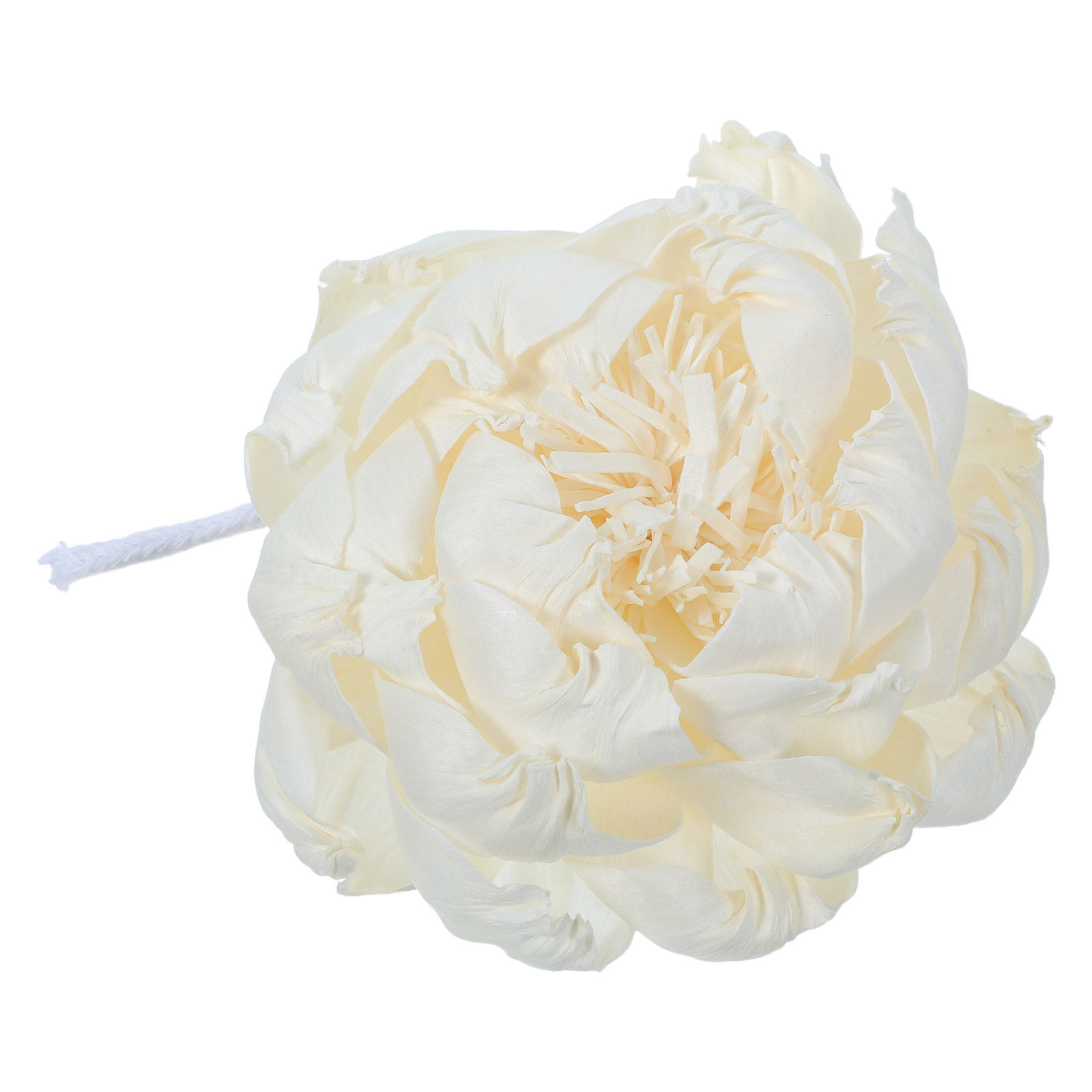 Dyfuzor zapachowy z głową piwo – Home Fragrance Usa recenzja i cena